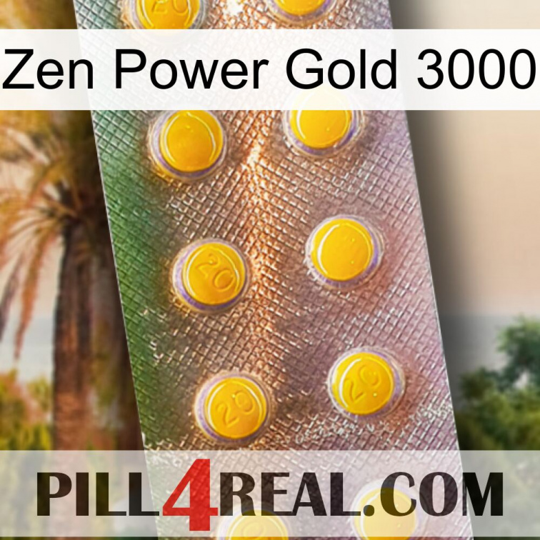 Zen Power Gold 3000 new11